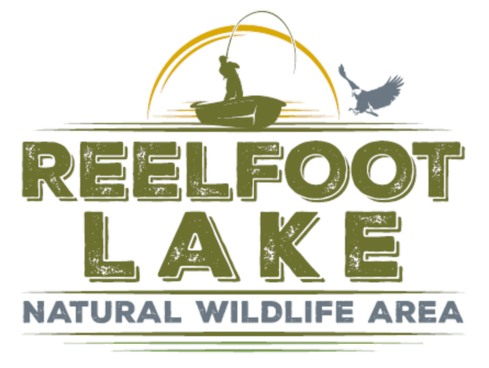 Reelfoot Lake, TN