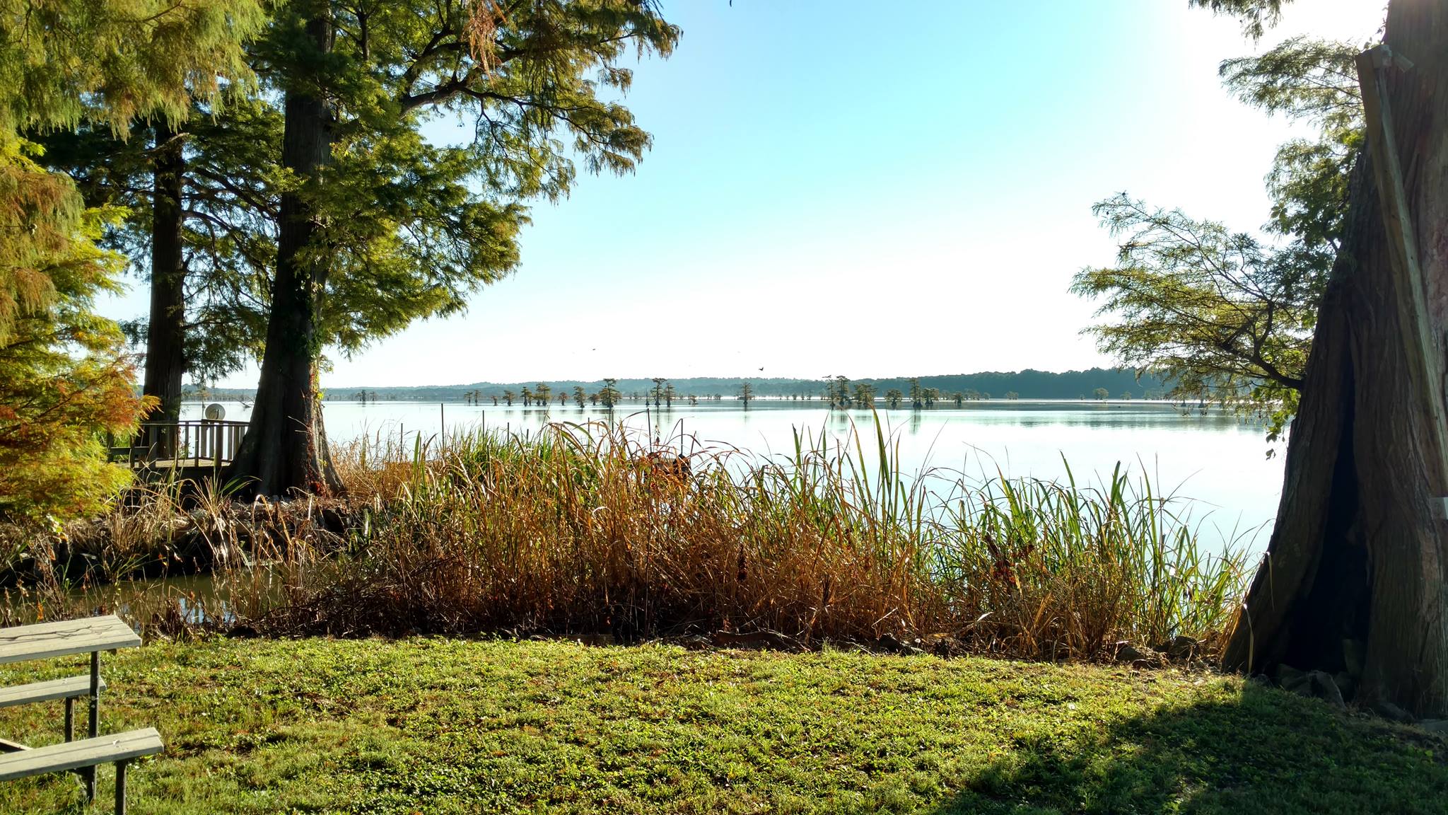 Blue Basin Cove Lodge