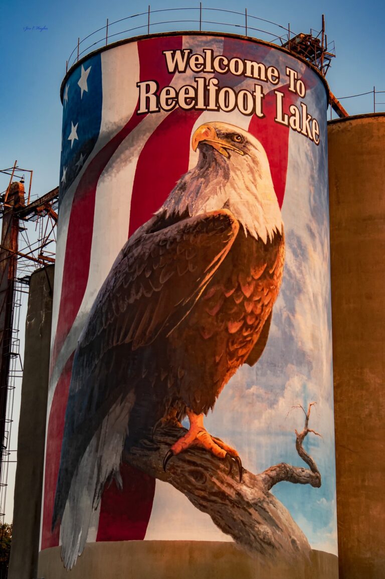Freedom Silo