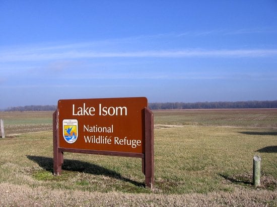 Lake Isom National Wildlife Refuge