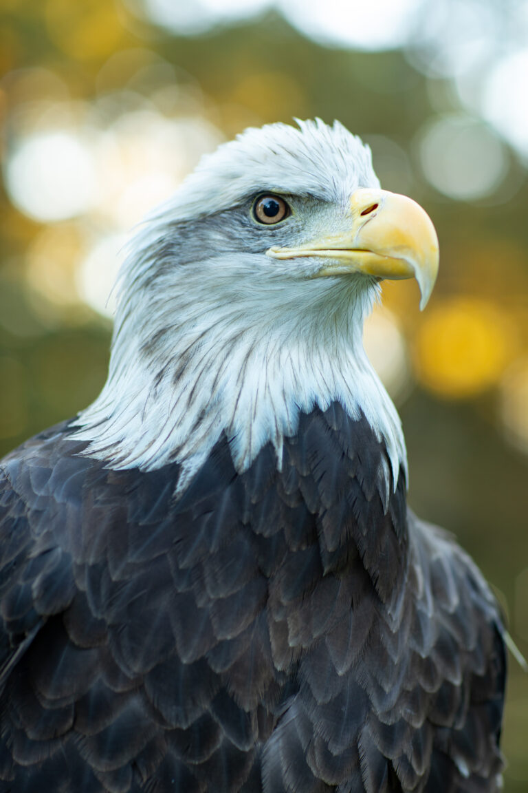 Reelfoot National Wildlife Refuge Visitor Center.