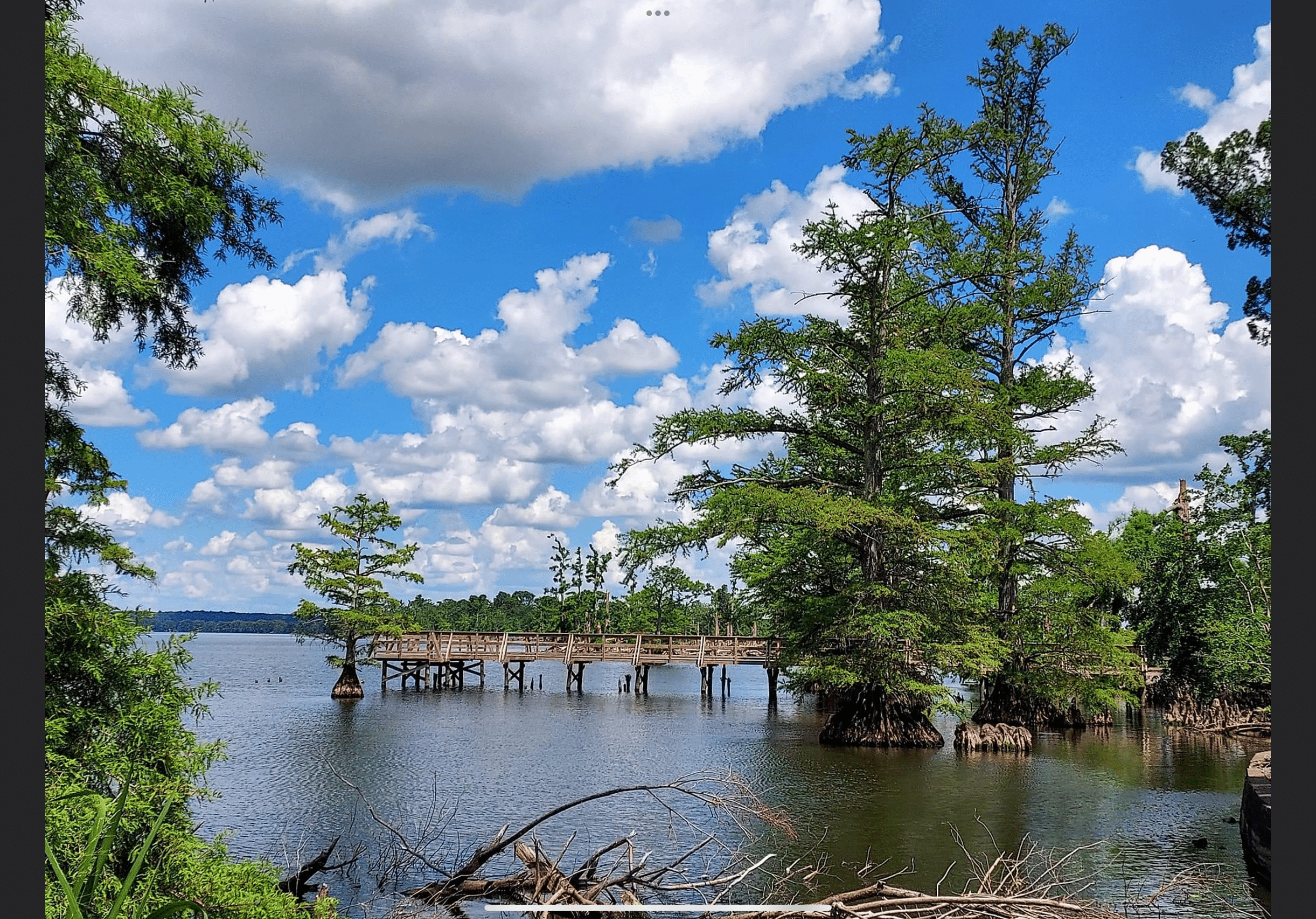 Reelfoot Lake