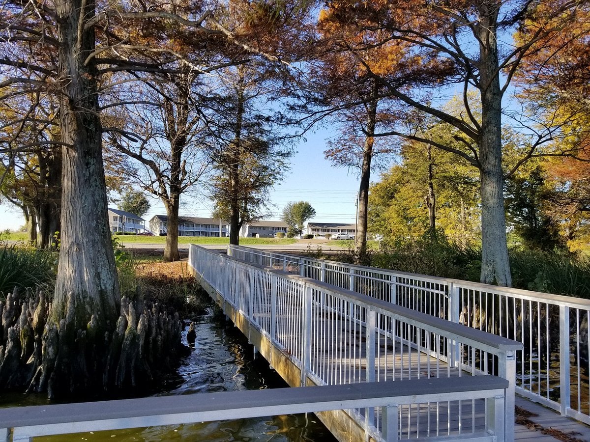 Reelfoot Lake Inn