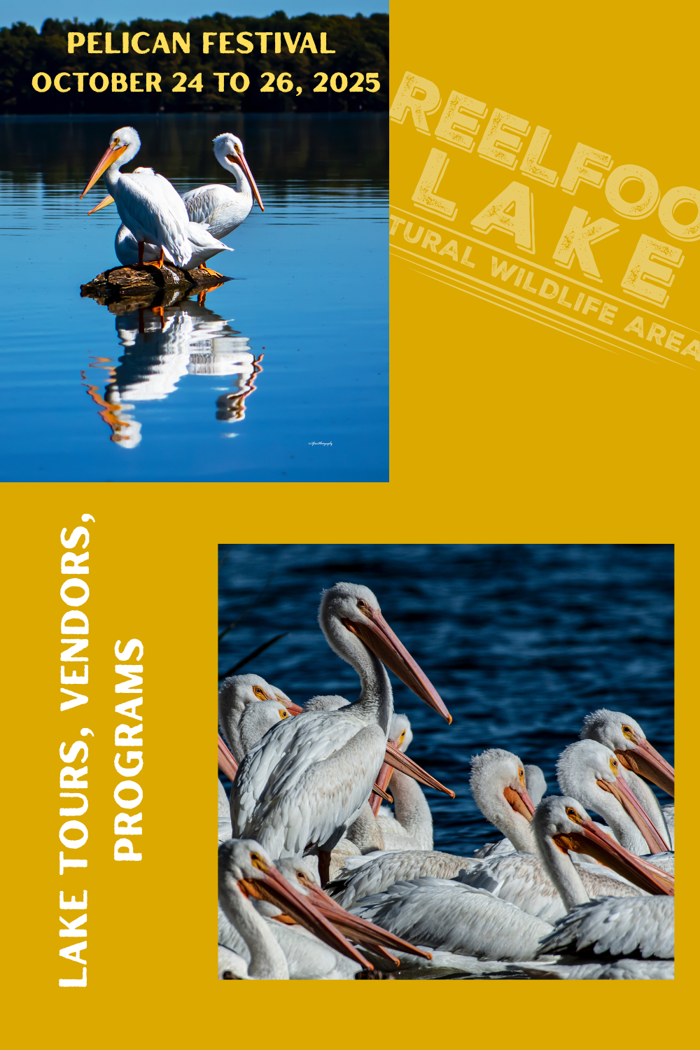 Pelican Festival