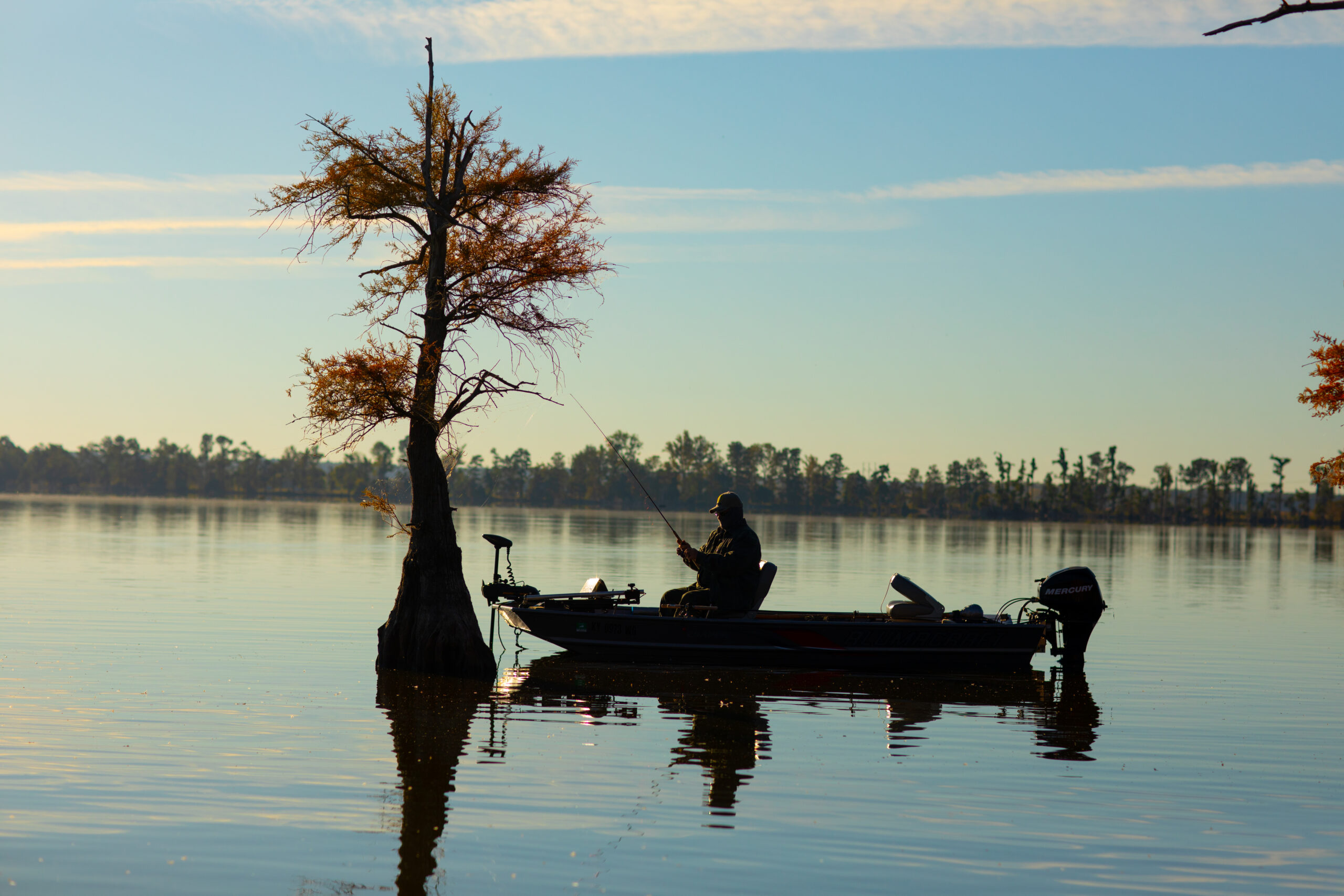 Reelfoot Lake