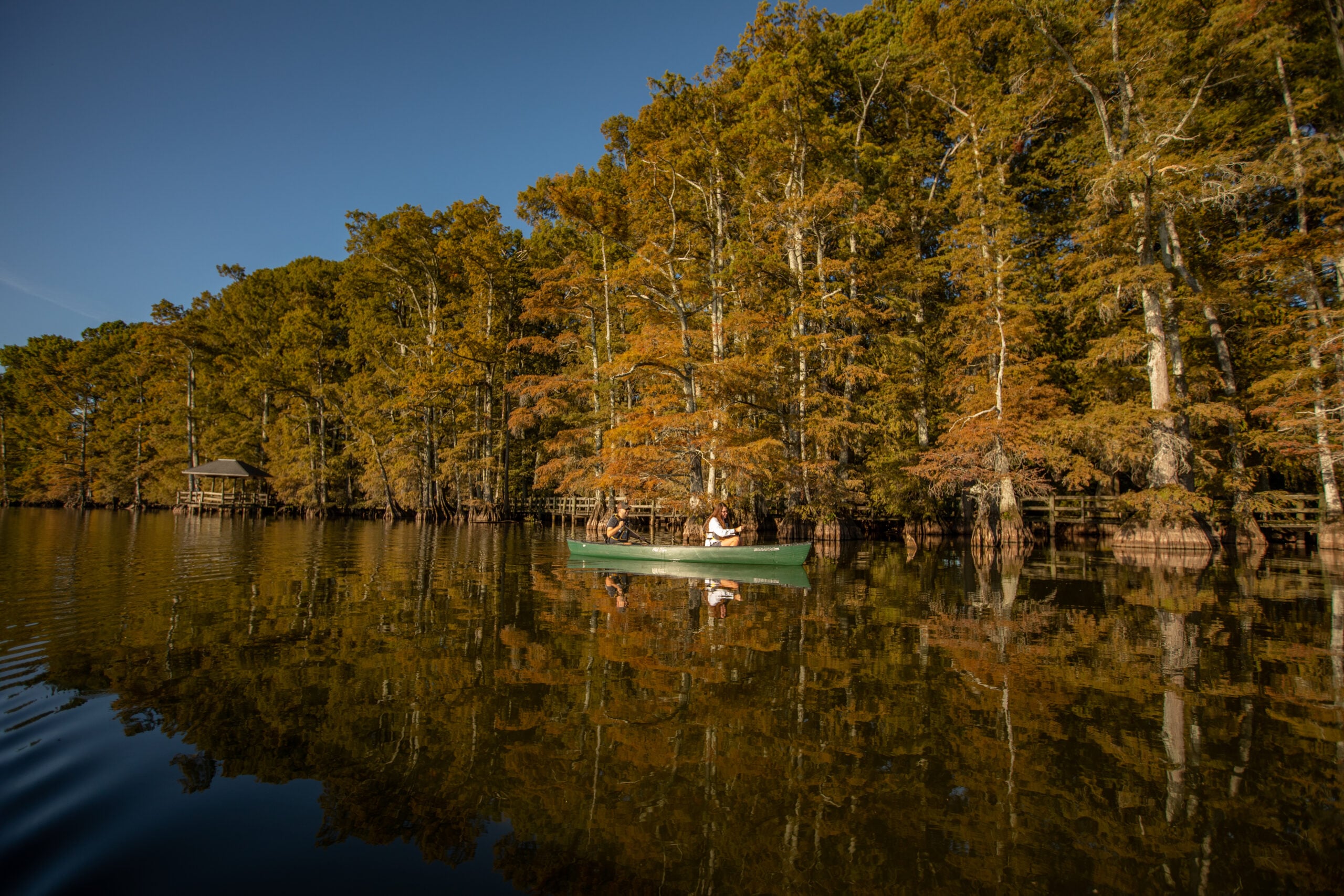 Reelfoot Lake